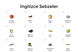 İngilizce Sebzeler Ve Türkçe Anlamları – Lingusta