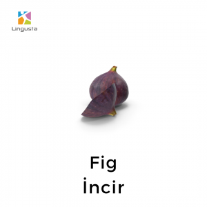 ingilizce incir fig