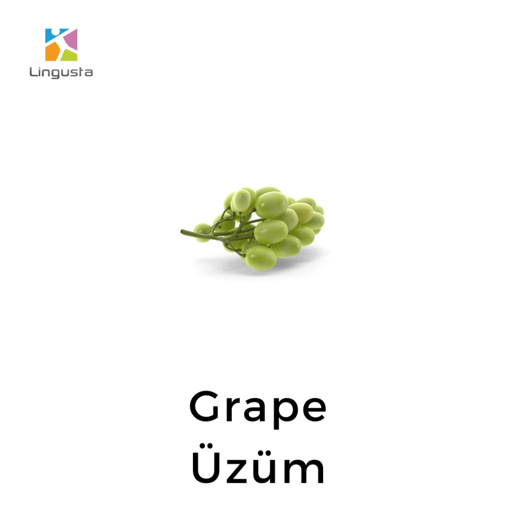 ingilizce üzüm grape