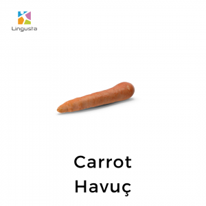 ingilizce havuç carrot