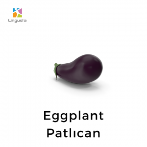 ingilizce eggplant patlıcan