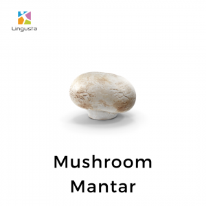 ingilizce mushroom mantar