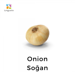 ingilizce onion soğan