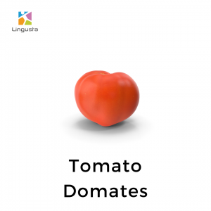 ingilizce domates tomato