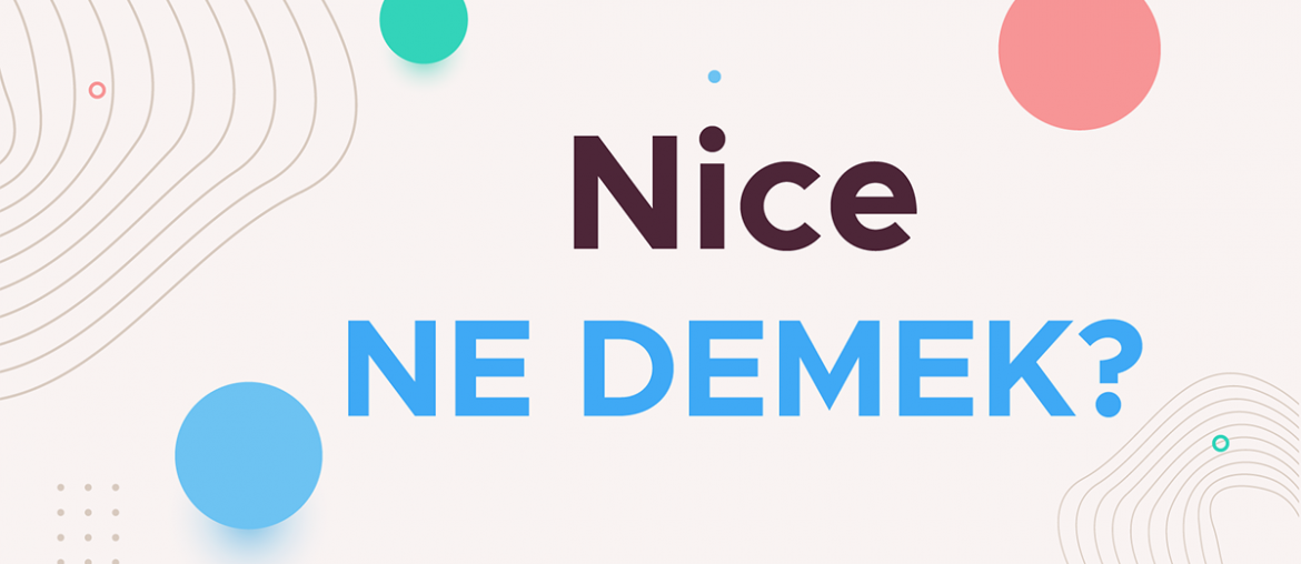 nice ne demek
