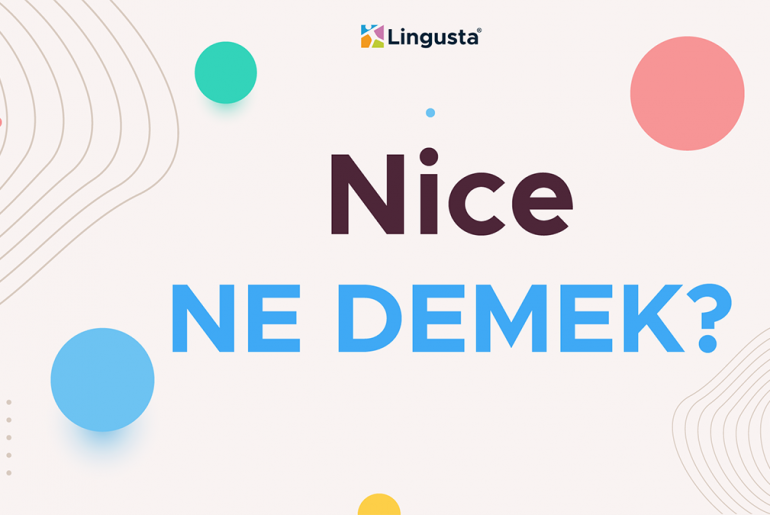 Nice Ne Demek? Nice Kelimesi Türkçe Anlamı Nedir? nice ne demek