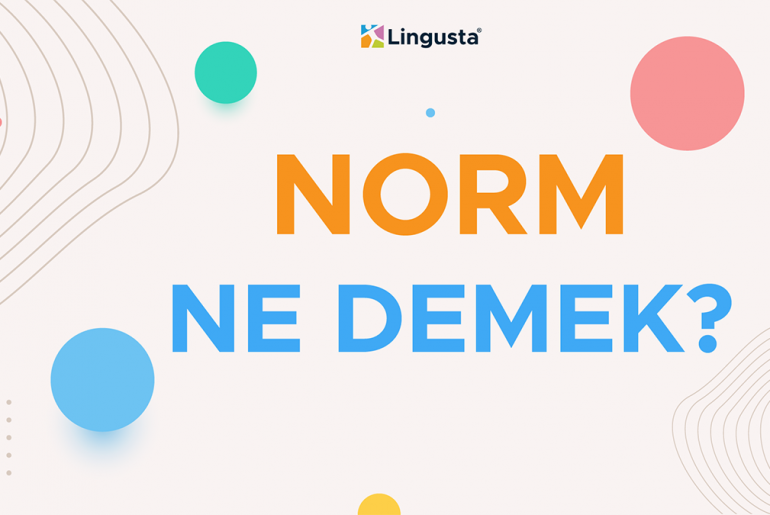 norm ne demek