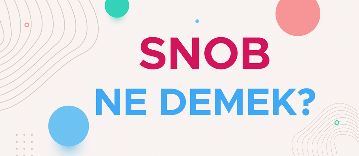 snob ne demek