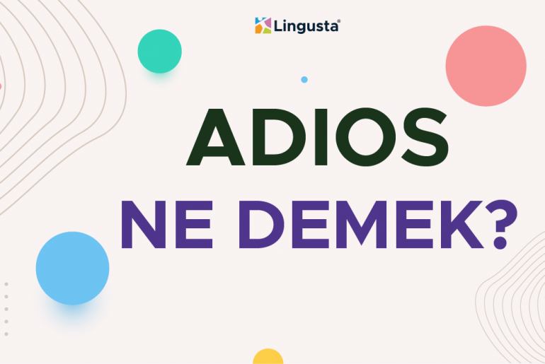 Adios Ne Demek? Adios Kelimesi Türkçe Anlamları ve Örnek Kullanımları adios ne demek