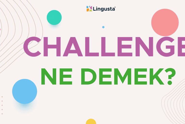 challenge-ne-demek