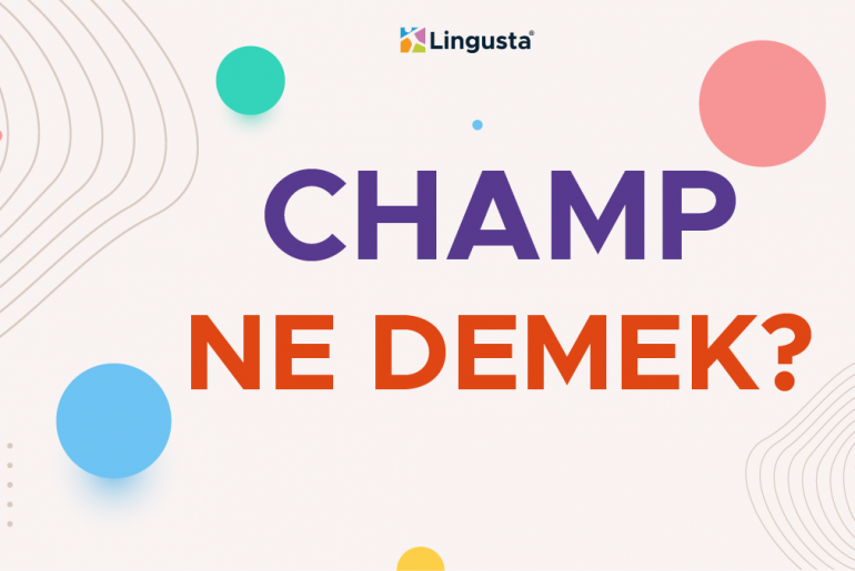 champ ne demek