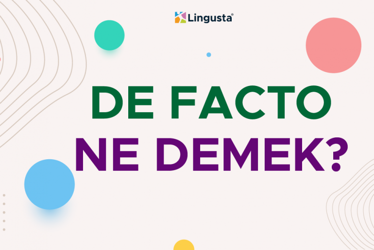 De Facto Ne Demek? De Facto Türkçe Anlamları ve Örnek Kullanımları