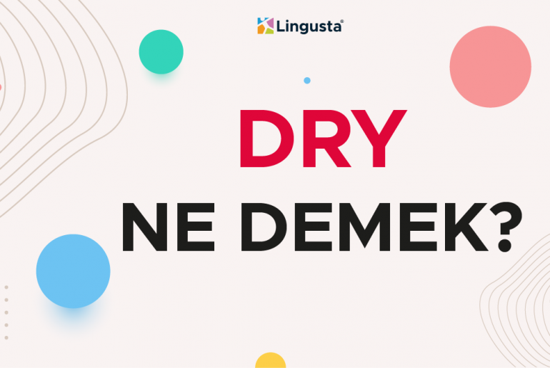 dry ne demek