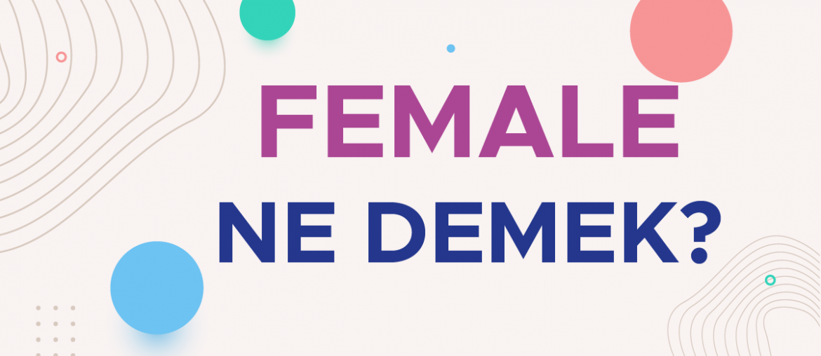 female ne demek