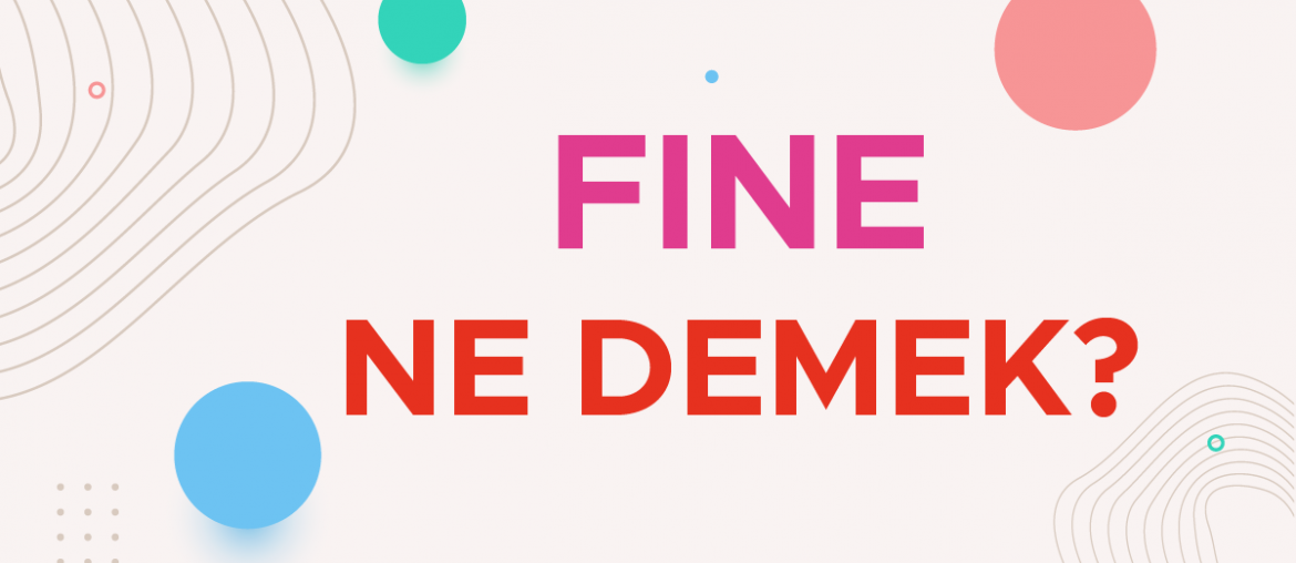 fine ne demek