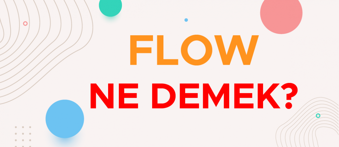 flow ne demek