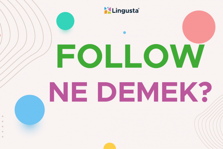 follow ne demek