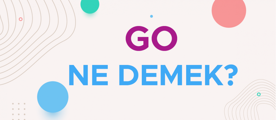 go ne demek