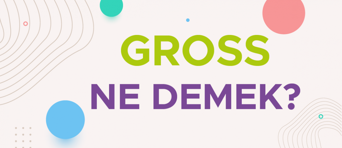 gross ne demek