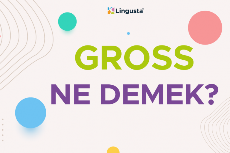 Gross Ne Demek? Gross Kelimesi Türkçe Anlamları ve Örnek Kullanımları gross ne demek
