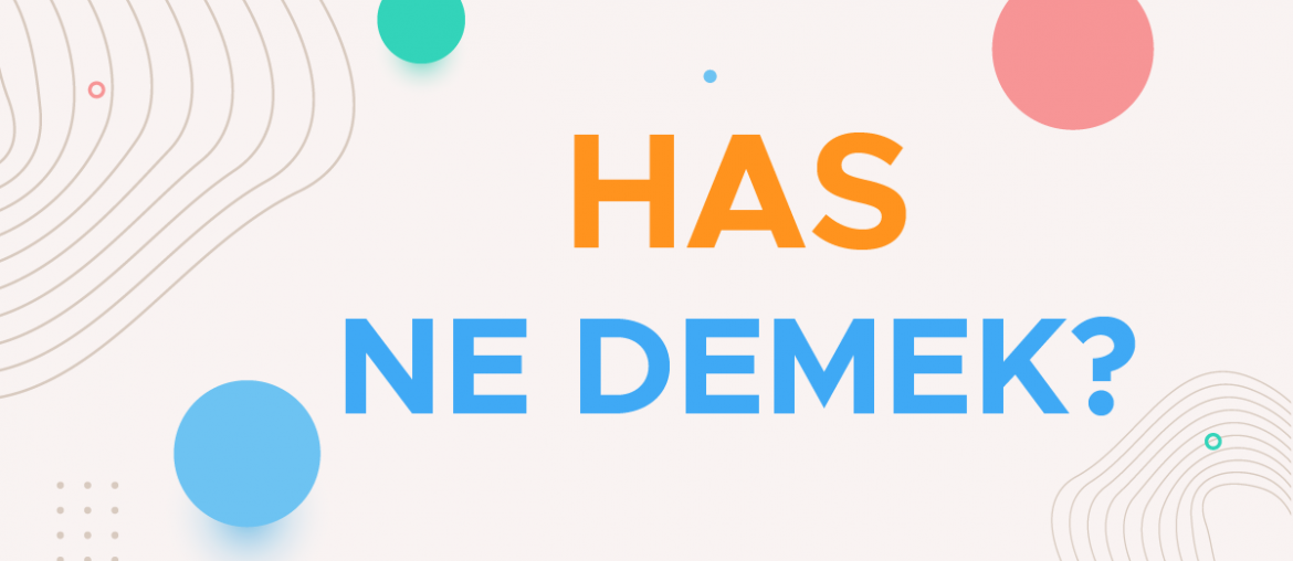 has ne demek