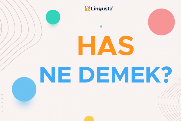 has ne demek