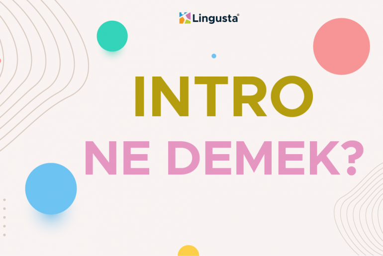 intro ne demek