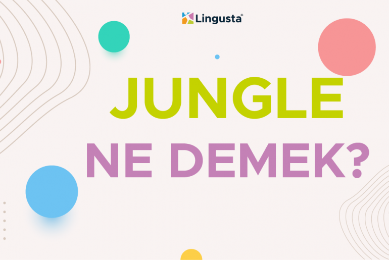 Jungle Ne Demek? Jungle Kelimesi Türkçe Anlamları ve Örnek Kullanımları jungle ne demek