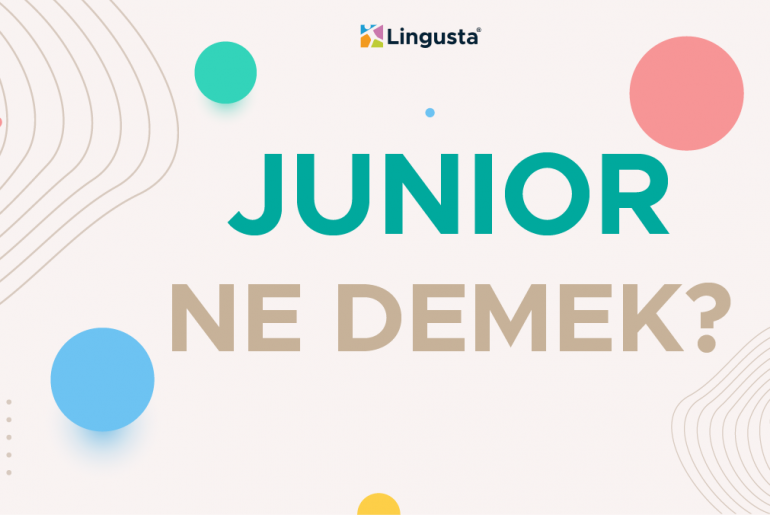 Junior Ne Demek? Junior Kelimesi Türkçe Anlamları ve Örnek Kullanımları