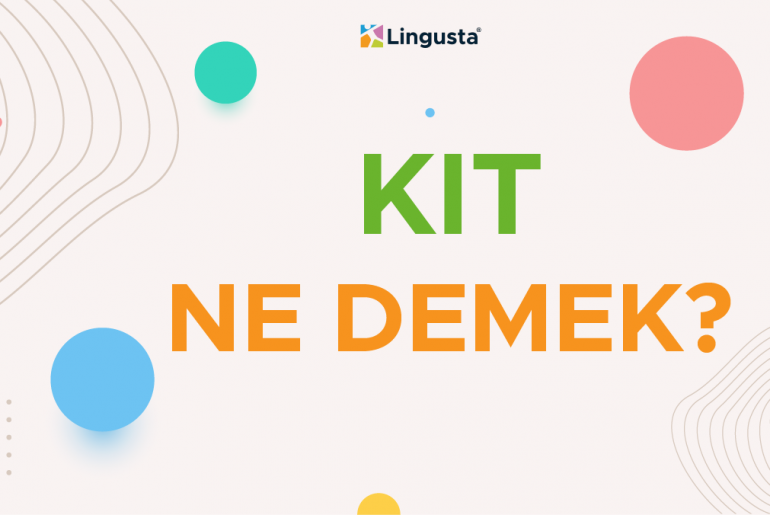 Kit Ne Demek? Kit Kelimesi Türkçe Anlamları ve Örnek Kullanımları kit ne demek