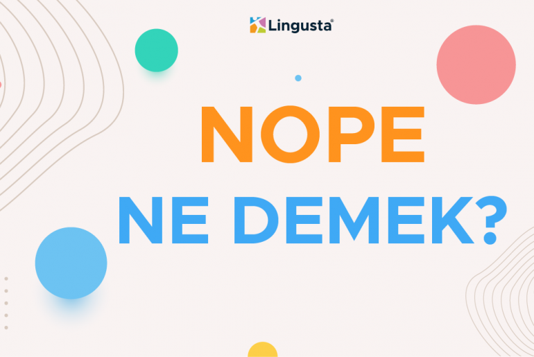 Nope Ne Demek? Nope Kelimesi Türkçe Anlamları ve Örnek Kullanımları nope ne demek