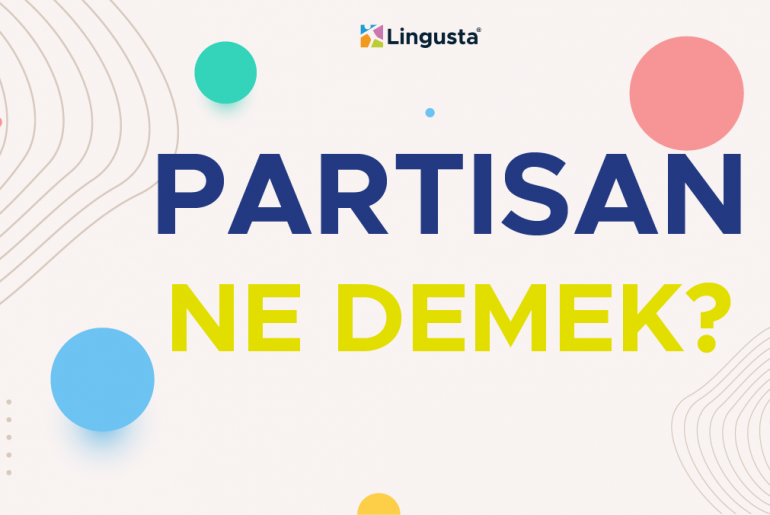 partisan ne demek