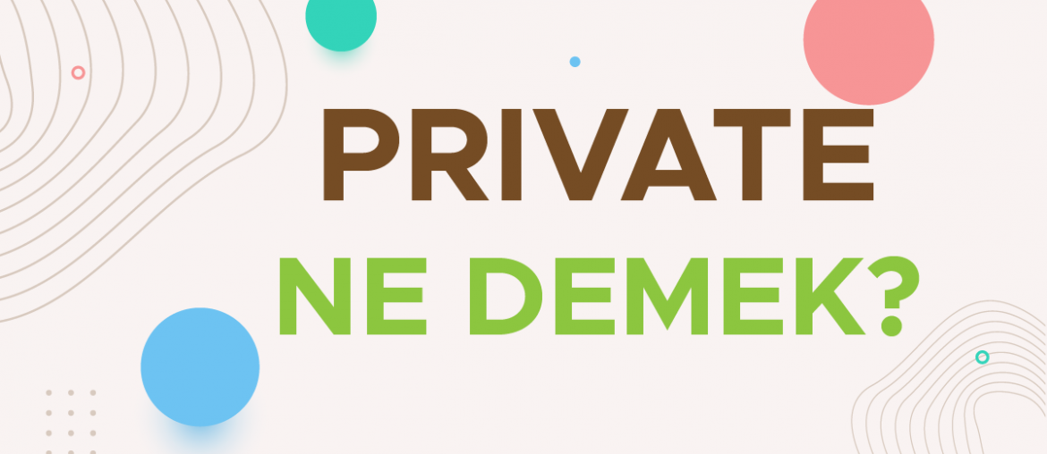 private ne demek