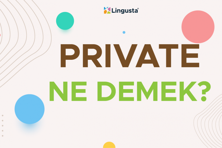 private ne demek