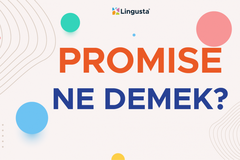 promise ne demek