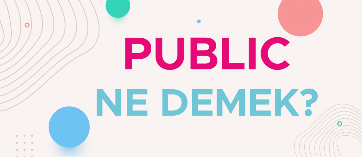 public ne demek