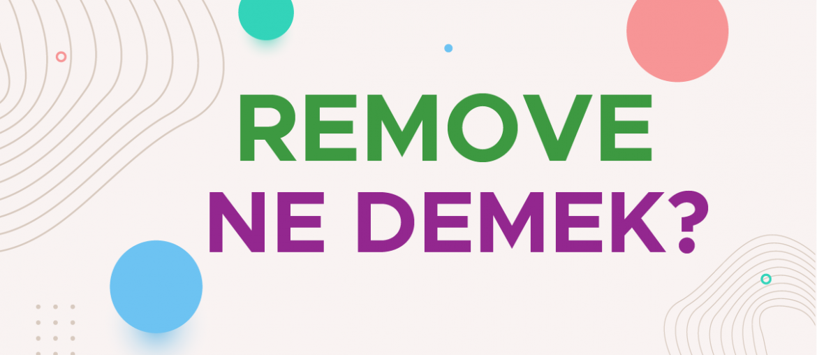 remove ne demek