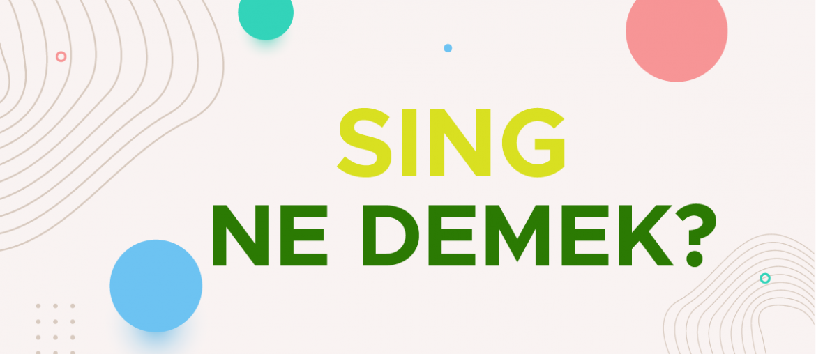 sing ne demek