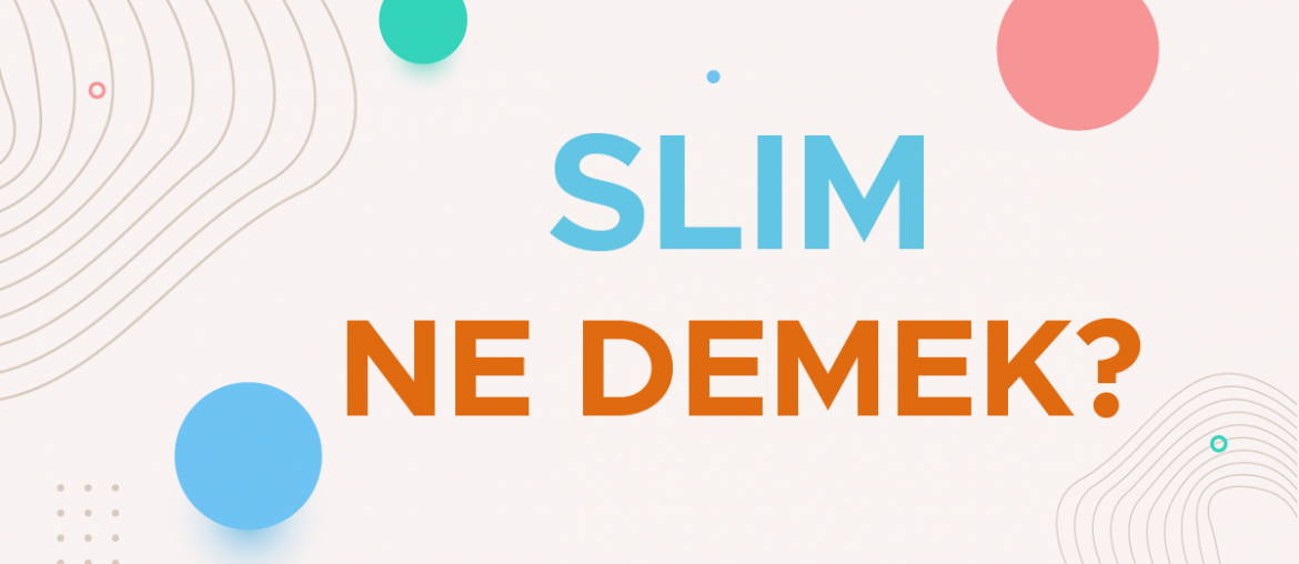 slim ne demek