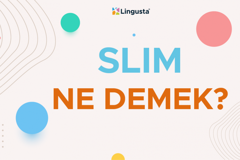 Slim Ne Demek? Slim Kelimesi Türkçe Anlamları ve Örnek Kullanımları