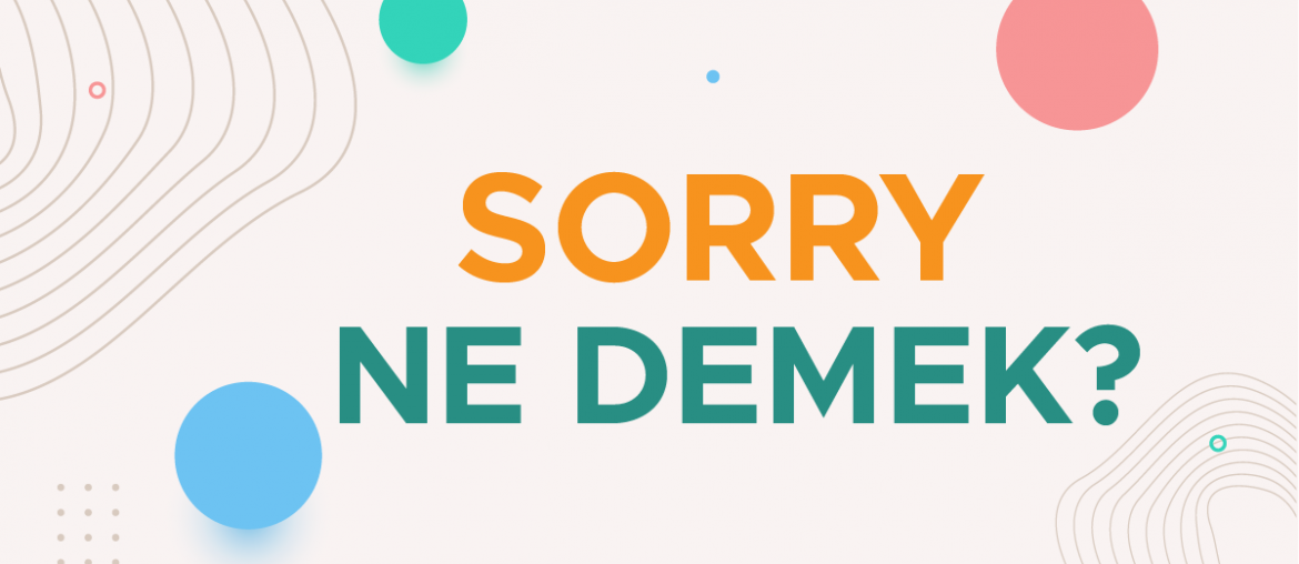 sorry ne demek