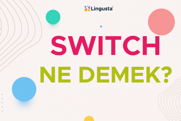 switch ne demek