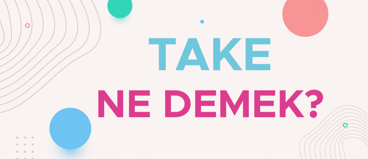 take ne demek