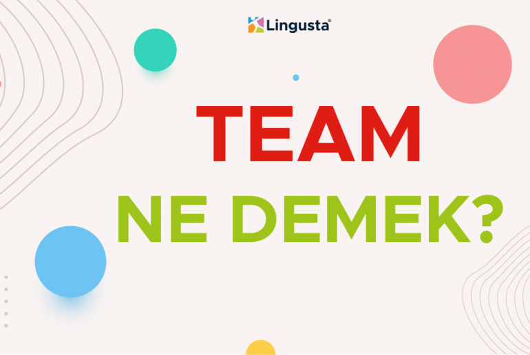 Team Ne Demek? Team Kelimesi Türkçe Anlamları ve Örnek Kullanımları team ne demek