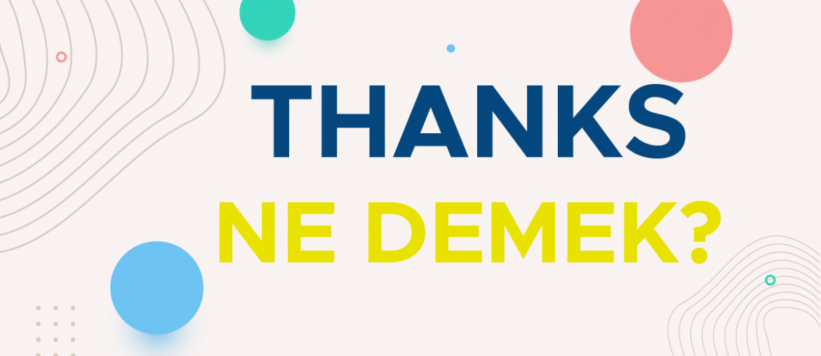 thanks ne demek