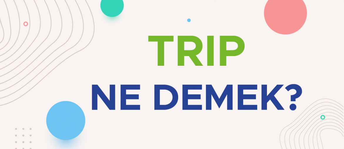 trip ne demek