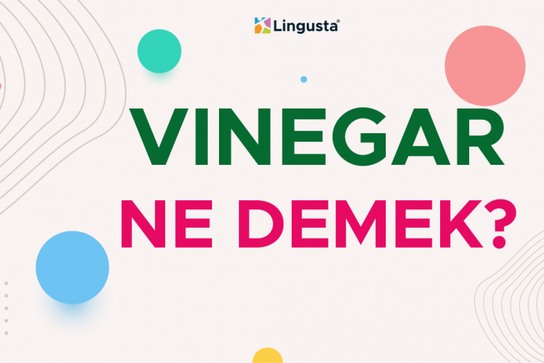 Vinegar Ne Demek? Vinegar Kelimesi Türkçe Anlamları ve Örnek Kullanımları vinegar ne demek