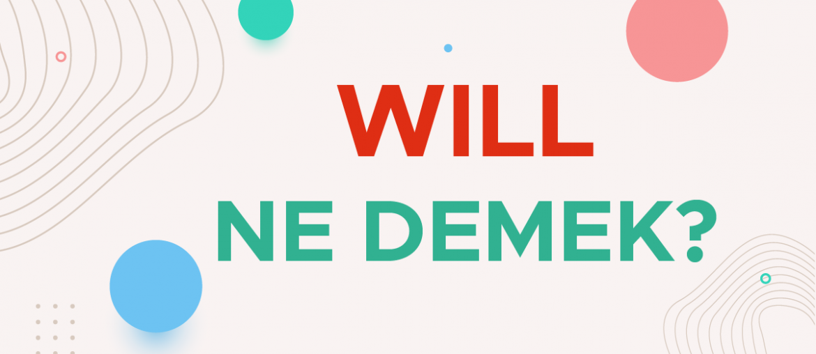 will ne demek