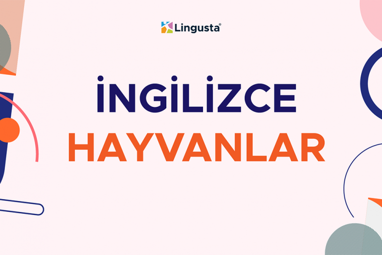 İngilizce Hayvanlar – İngilizce Hayvan Türleri ve Türkçe Karşılıkları ingilizce hayvanlar