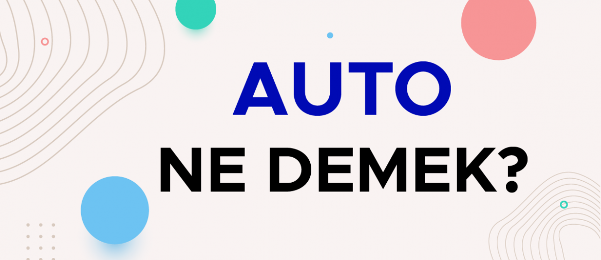 auto ne demek